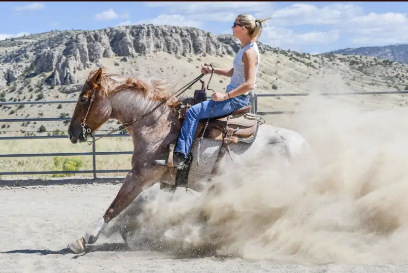 Pepto Lena Pink 2017 AQHA Red Roan Mare