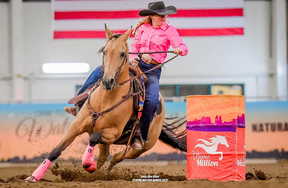 Willow Smoke Chex 2006 AQHA Buckskin Mare