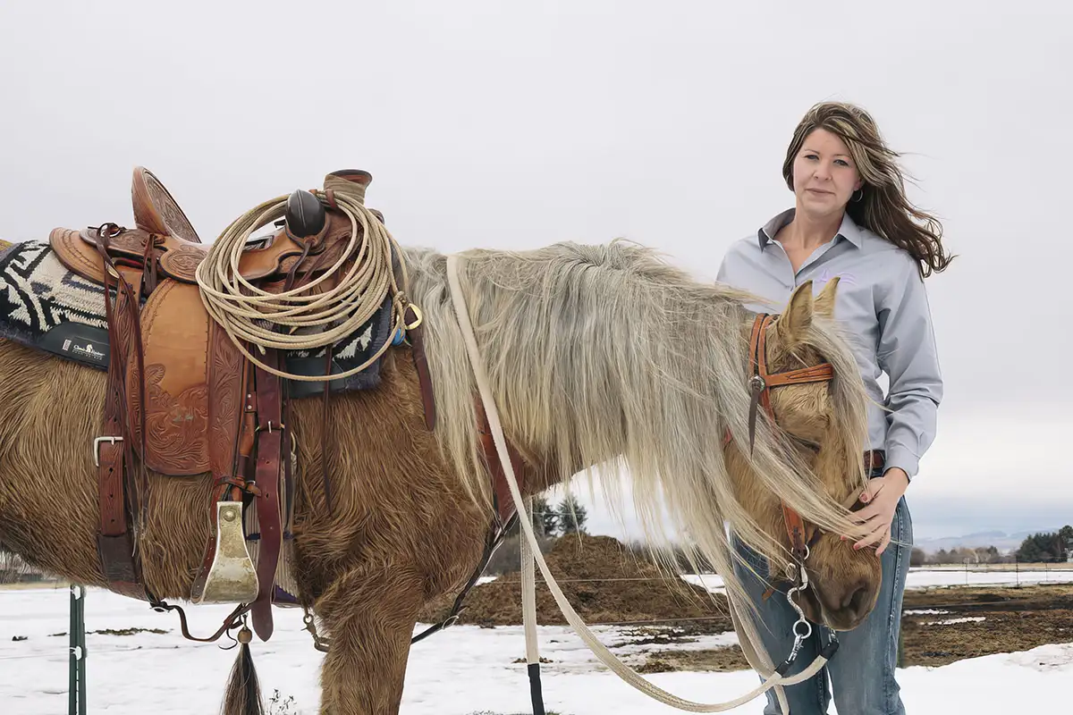 Amy and 2009 Morgan Gelding Holiday Hijo De Oro sired by Holiday Compadre