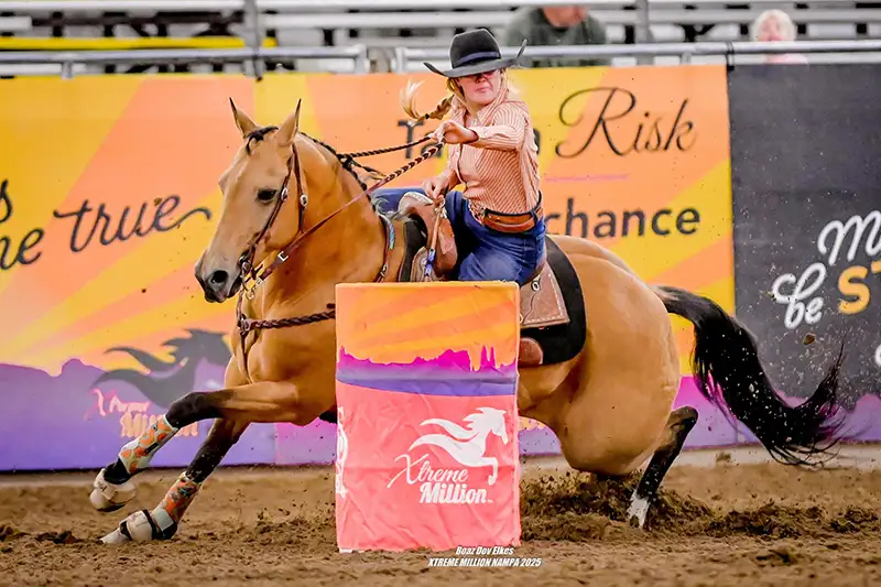 Cowgirl barrel racing on buckskin horse