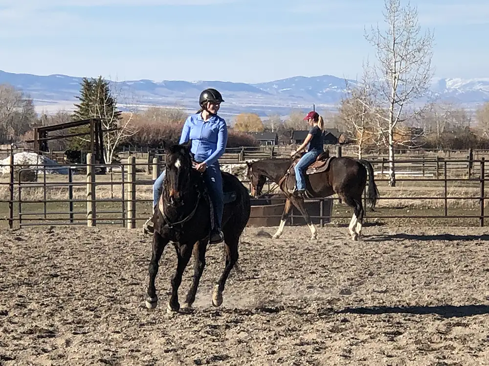 summer horse program