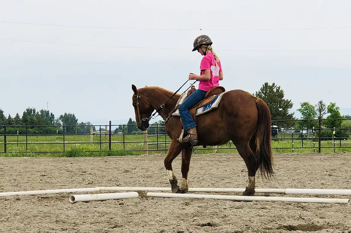 Rider navigating a horse through a trail riding course in an arena.