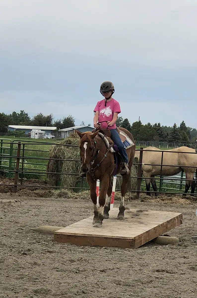 Rider navigating horse over a bridge in an arena.