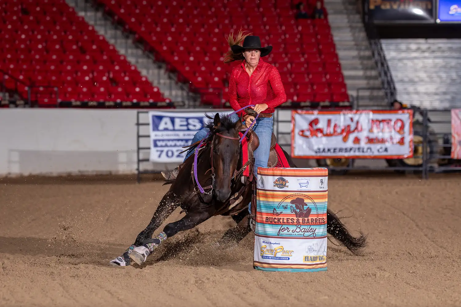 AQHA dark bay barrel horse for sale